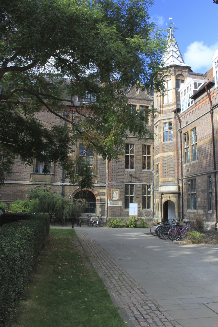 Museum of Archaeology and Anthropology